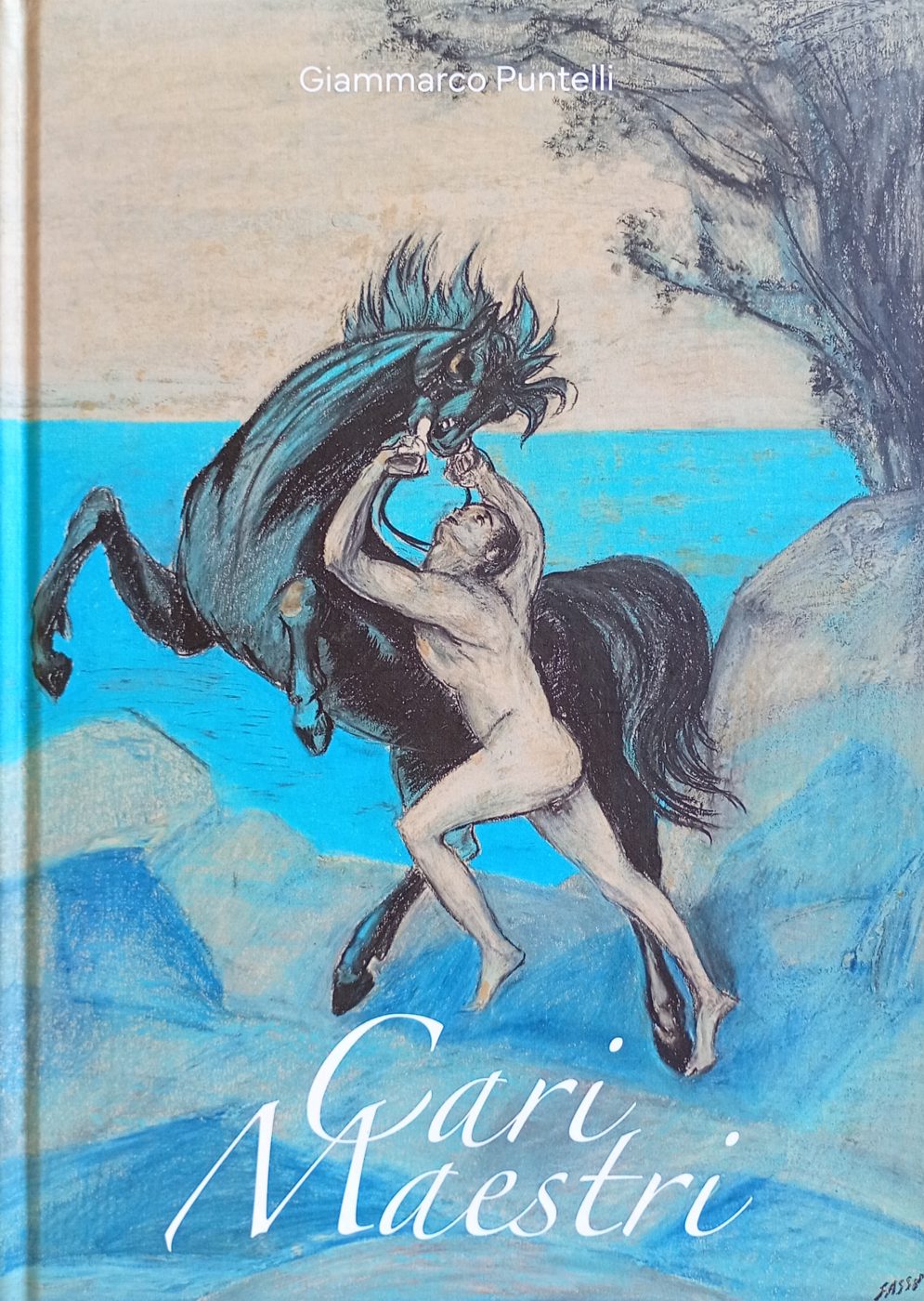 Cari Maestri